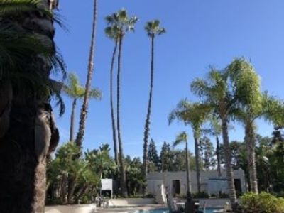 Pool at Newport Beach hotel
